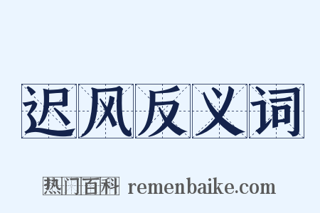 迟风反义词是什么意思的图片